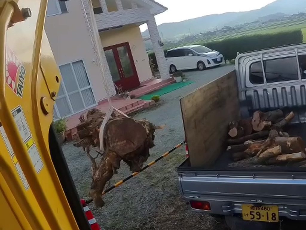 神崎郡福崎町でバンドを掛けた根株をユンボで吊り上げ