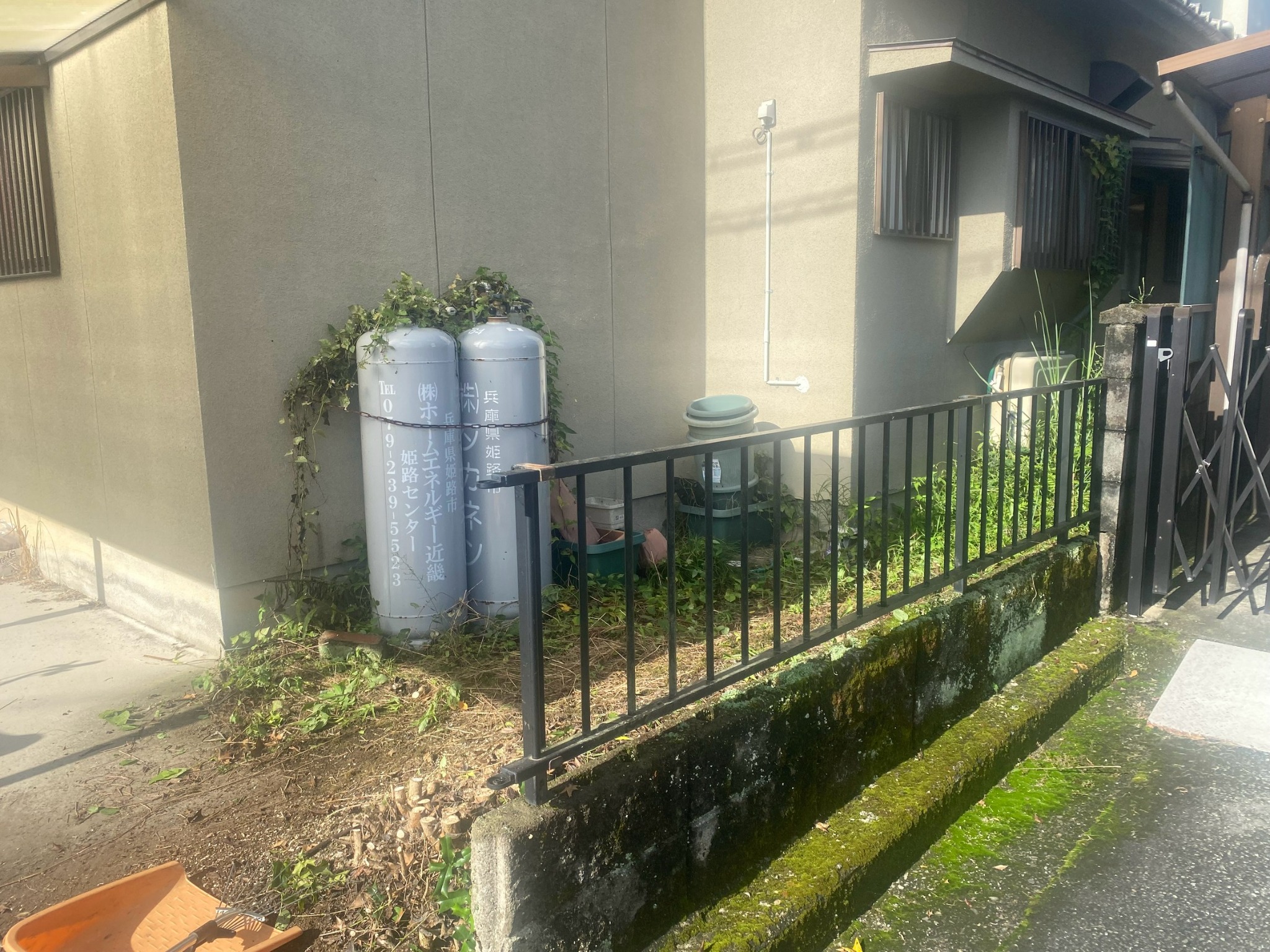 姫路市夢前町でヒイラギ伐採後にすっきりした境界部分