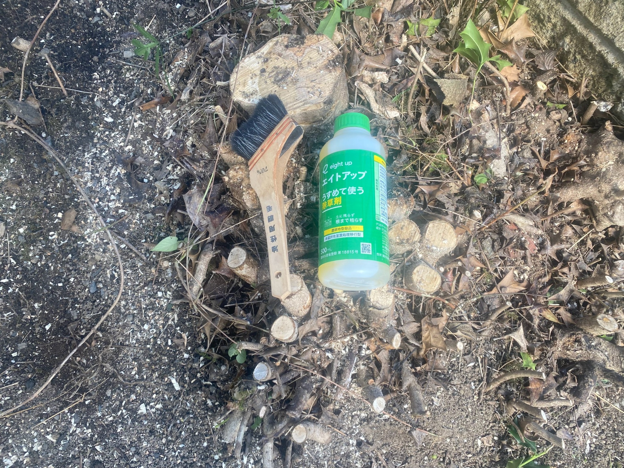 姫路市夢前町で伐採後の切り株へ除草剤を塗布